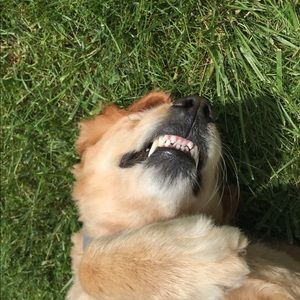 Meet your Posher, Christine